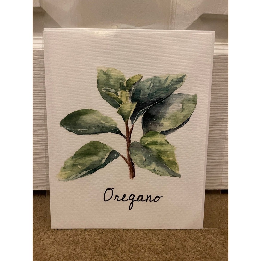 Oregano Herb Watercolor Botanical Art 8x10 Print Green Kitchen Wall Decor New